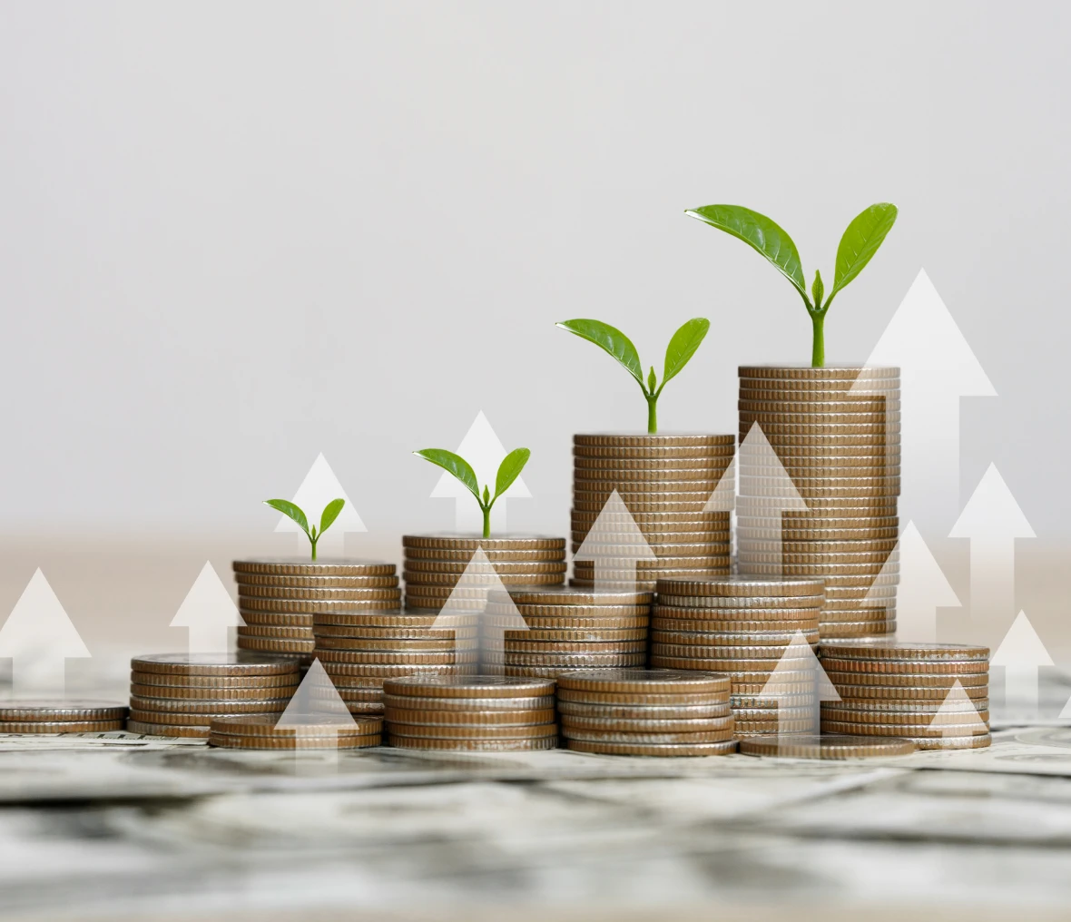 Stacked coins with growing plants
